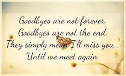 goodbye-miss-you-meet-again